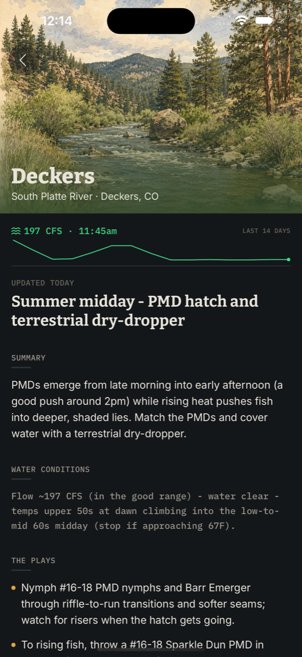 Deckers playbook: summer midday PMD hatch plan with water conditions and plays
